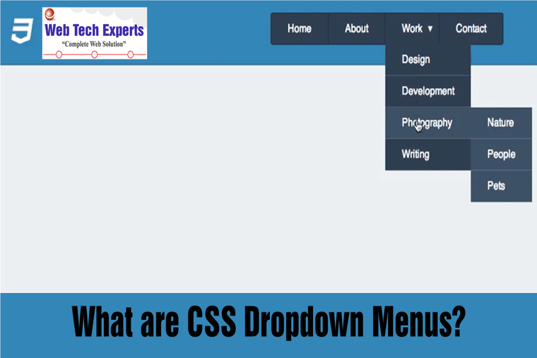 What Are CSS Dropdown Menus